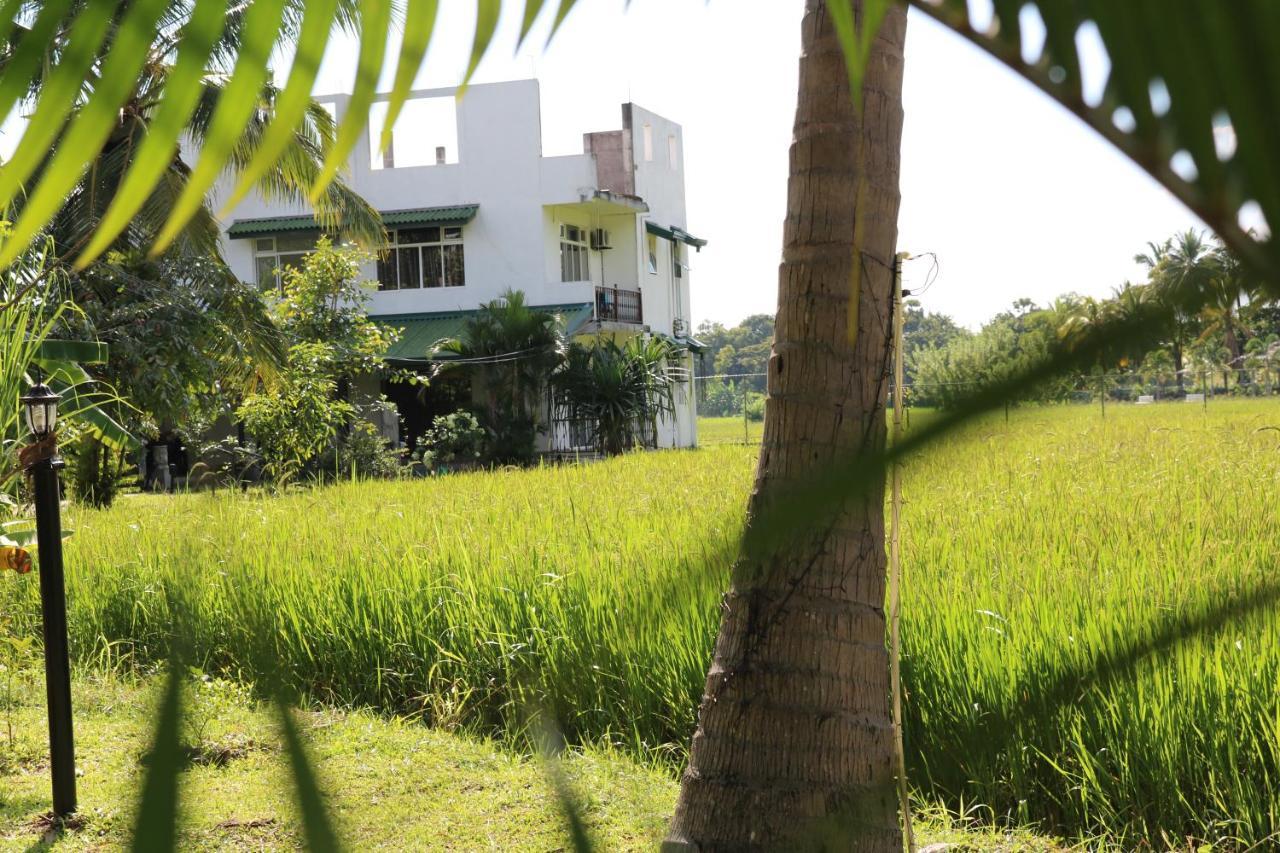Manel Guest House Polonnaruwa Bagian luar foto