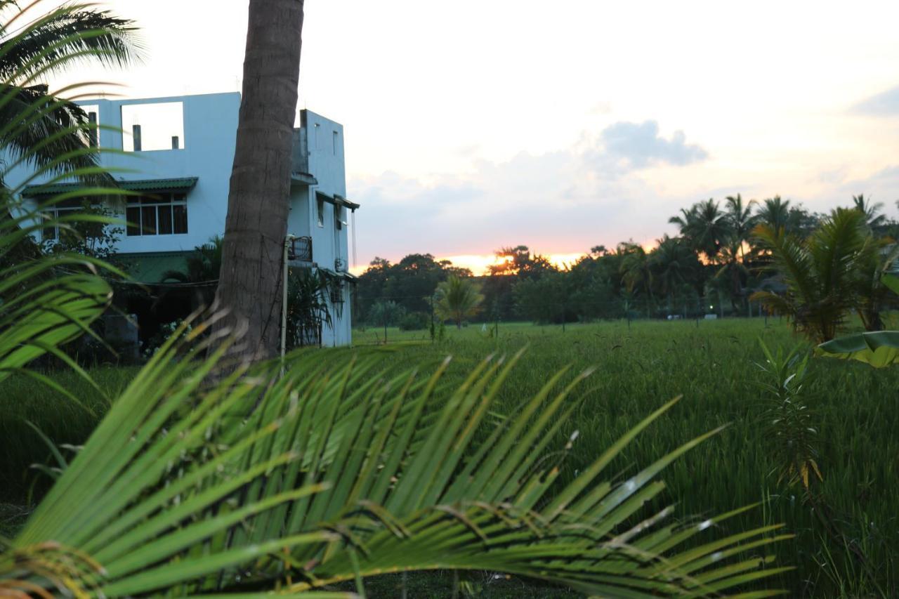 Manel Guest House Polonnaruwa Bagian luar foto
